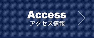 アクセス情報